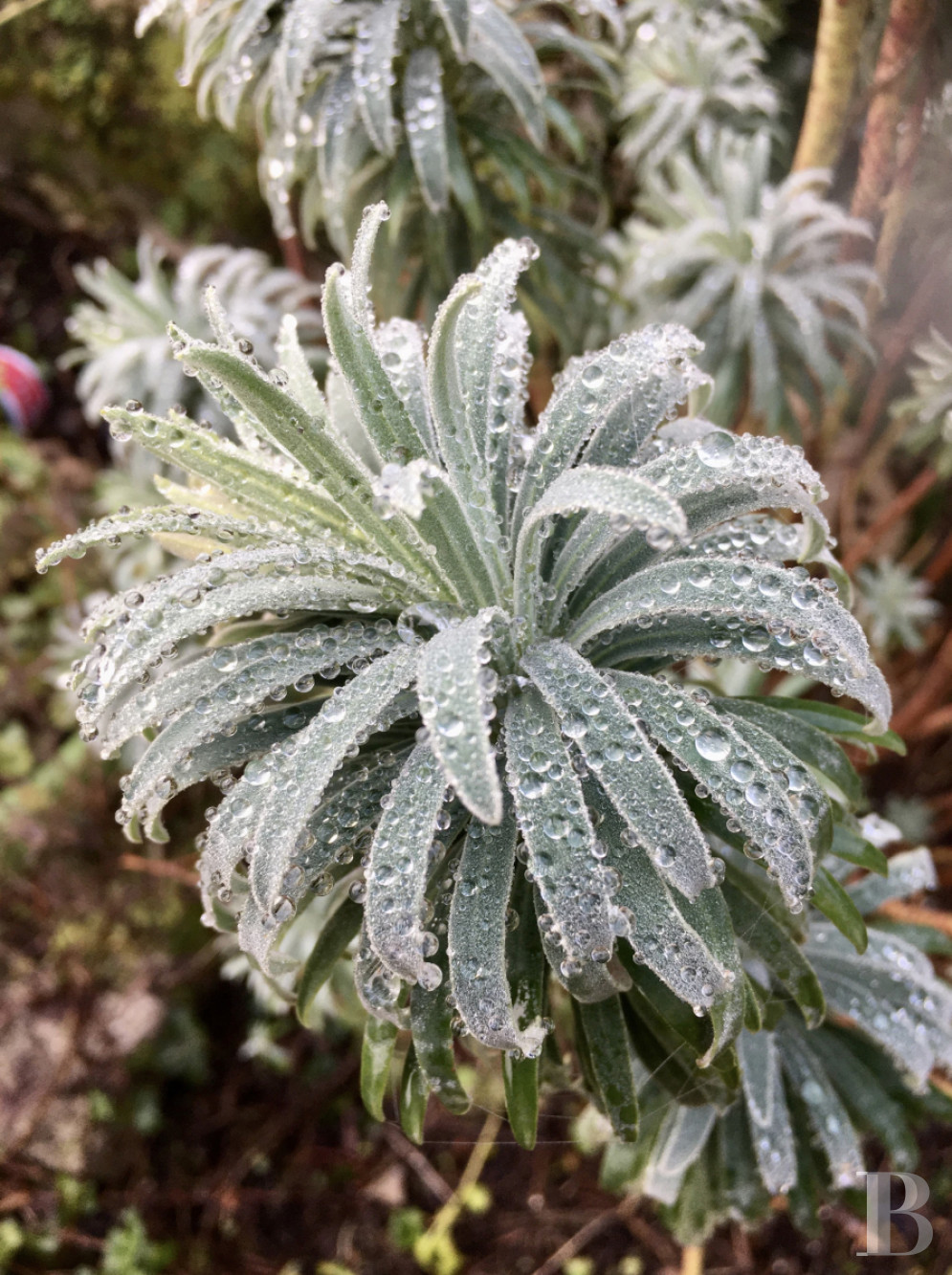 An 18th-century farmhouse converted into a place to stay and holiday north-west of Agen, in the Lot-et-Garonne department - photo  n°37